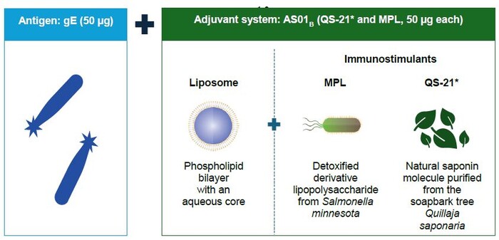 만성콩팥병 환자에서 재조합 대상포진 ...