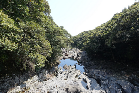 아름다운 봄꽃들이 가득한 연초록 숲으로 떠나는 숲길 여행 [26년 봄호]